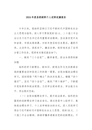2024年度县级副职个人述职述廉报告
