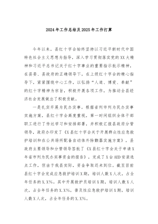 2024年工作总结及2025年工作打算