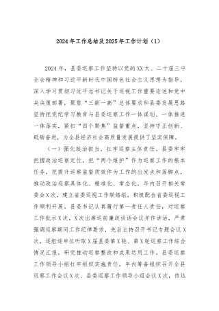 2024年工作总结及2025年工作计划（1）