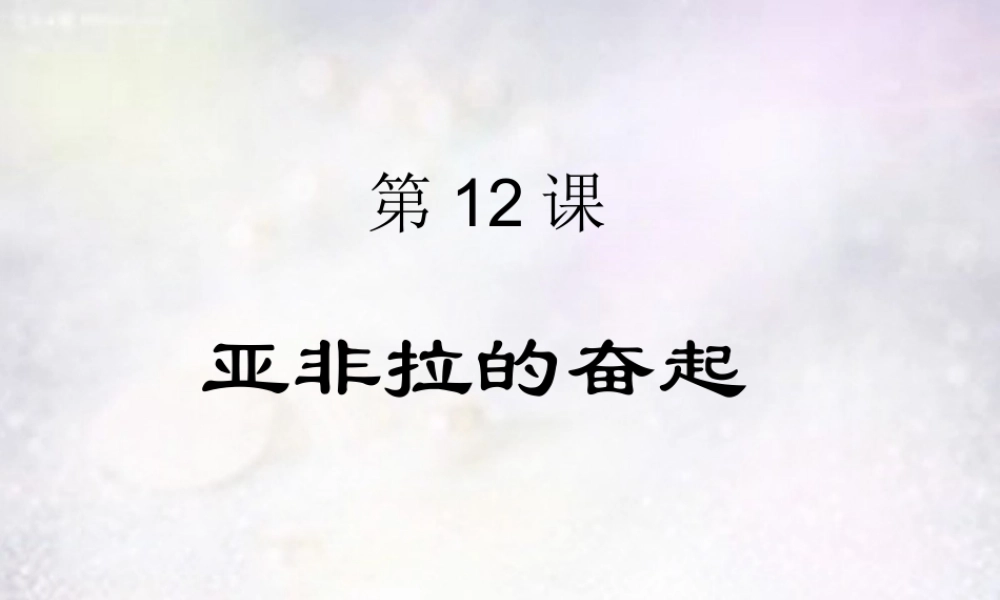 九年级历史下册 612 亚非拉的奋起课件 新人教版 课件