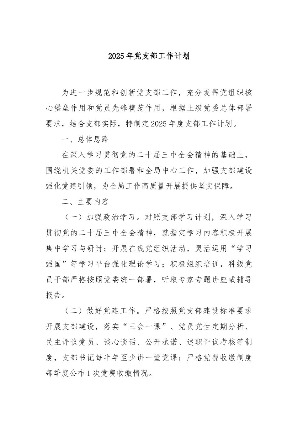 2025年党支部工作计划_第1页