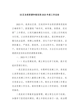 XX区自然资源和规划局2023年度工作总结