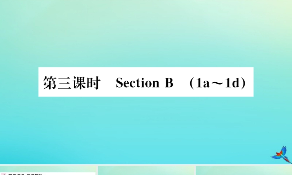 (河南专版)九年级英语全册 Unit 10 You re supposed to shake hands(第3课时)习题课件 (新版)人教新目标版 课件