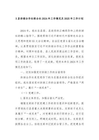 X县供销合作社联合社2024年工作情况及2025年工作计划