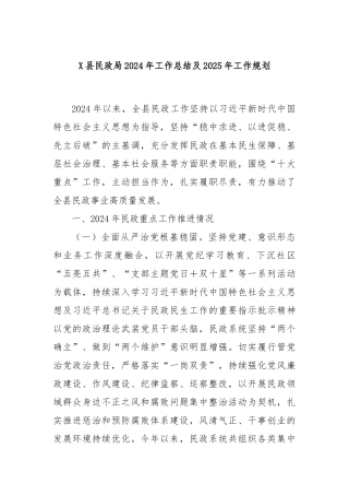 X县民政局2024年工作总结及2025年工作规划