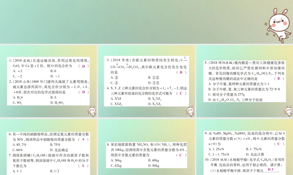 九年级化学上册 小专题7 化学式的相关计算课件 (新版)新人教版 课件