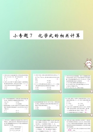 九年级化学上册 小专题7 化学式的相关计算课件 (新版)新人教版 课件