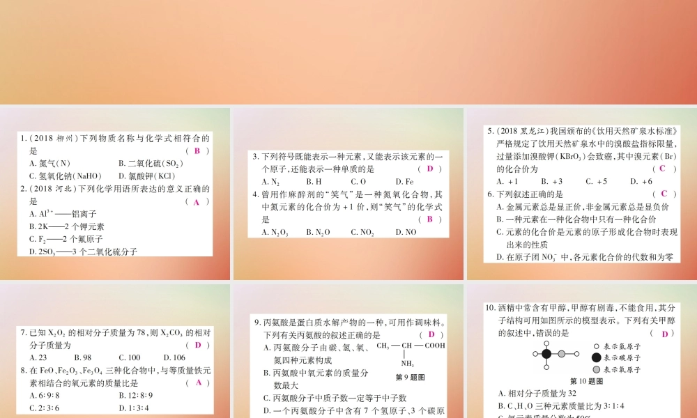 九年级化学上册 第二部分 期末复习攻略 综合专题五 化学式与化合价课件 (新版)新人教版 课件