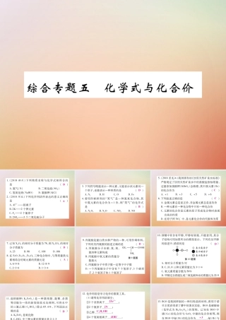 九年级化学上册 第二部分 期末复习攻略 综合专题五 化学式与化合价课件 (新版)新人教版 课件