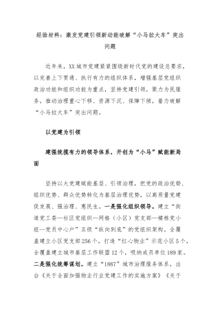 经验材料：激发党建引领新动能破解“小马拉大车”突出问题