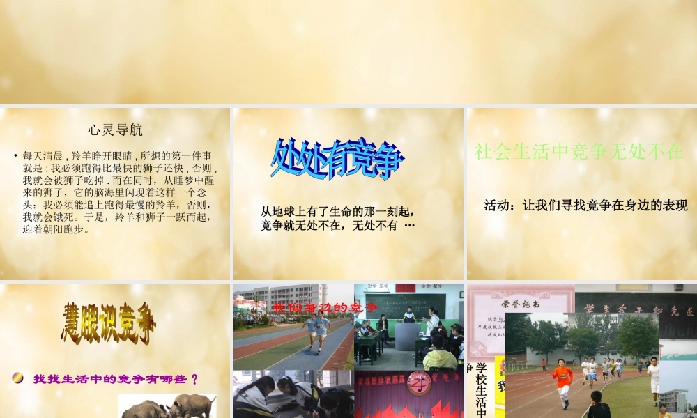 七年级政治下册 3.2 生命的林子课件 人民版 课件