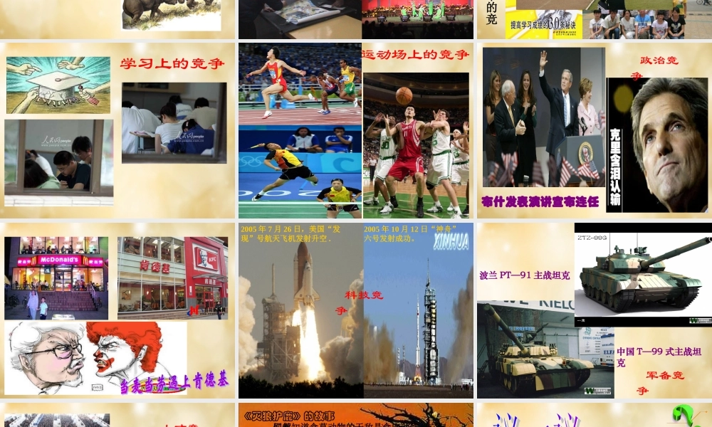 七年级政治下册 3.2 生命的林子课件 人民版 课件