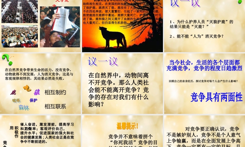 七年级政治下册 3.2 生命的林子课件 人民版 课件