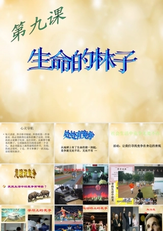 七年级政治下册 3.2 生命的林子课件 人民版 课件