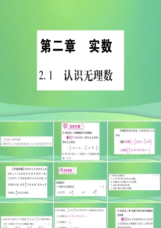 (江西专用)八年级数学上册 第2章 实数 2.1 认识无理数作业课件 (新版)北师大版 课件