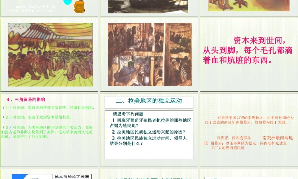 九年级历史上册 第黑奴贸易和拉丁美洲的社会变迁)课件 华东师大版 课件