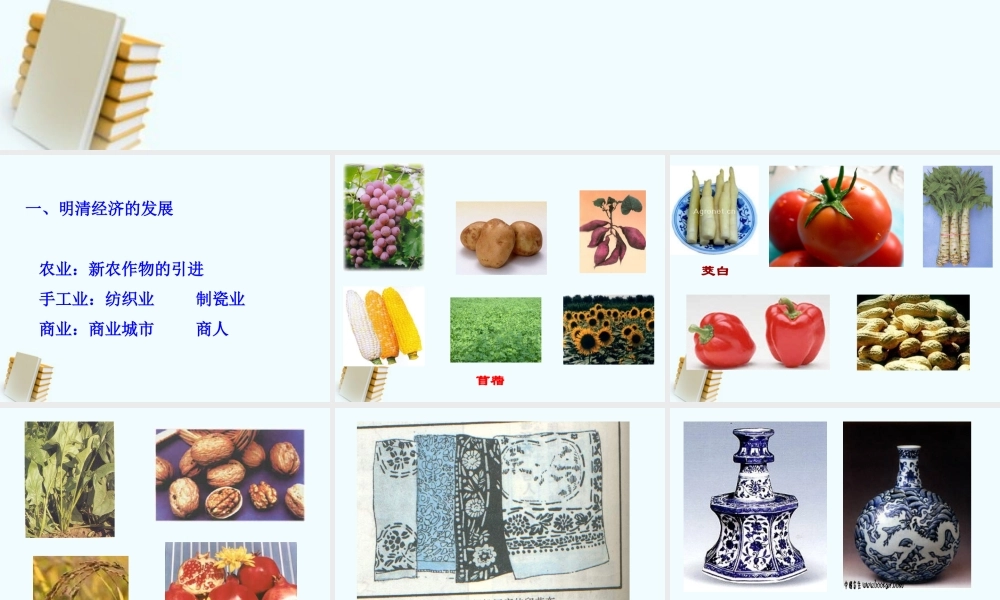 七年级历史下册 3.21(明清经济的发展与 闭关锁国 )课件 鲁教版 课件
