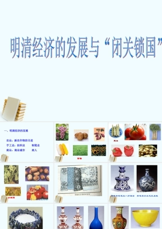七年级历史下册 3.21(明清经济的发展与 闭关锁国 )课件 鲁教版 课件