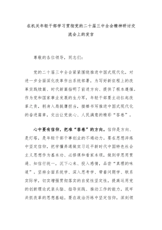在机关年轻干部学习贯彻党的二十届三中全会精神研讨交流会上的发言