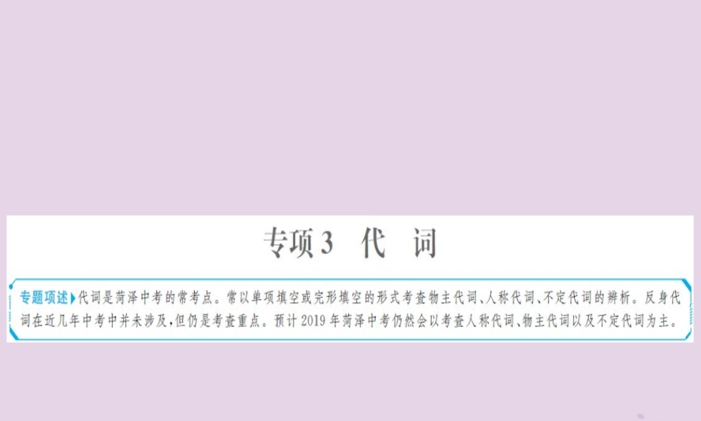 中考英语总复习 第二部分 专项语法 高效突破 专题3 代词课件