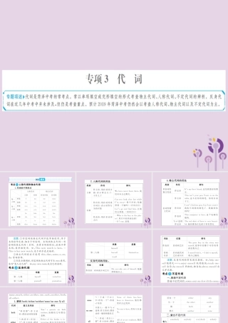 中考英语总复习 第二部分 专项语法 高效突破 专题3 代词课件