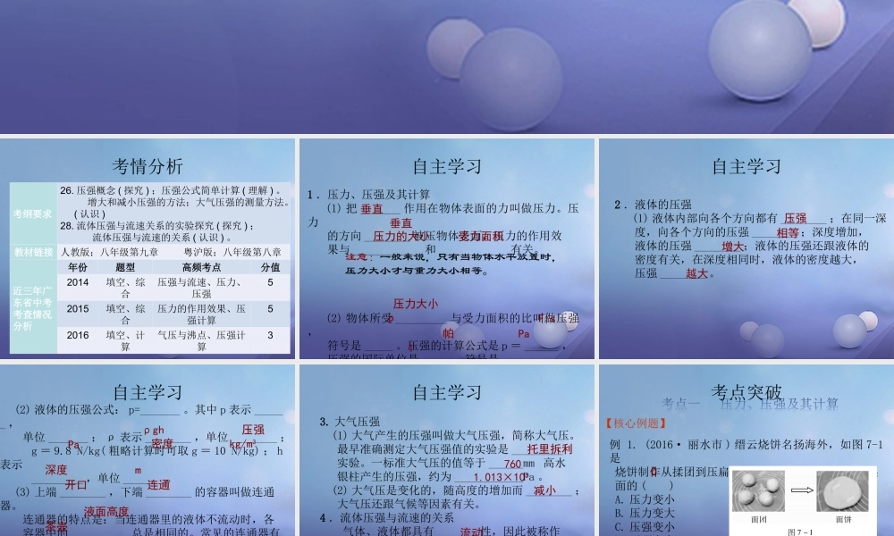 中考物理总复习 第7讲 压强课件