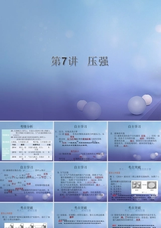 中考物理总复习 第7讲 压强课件