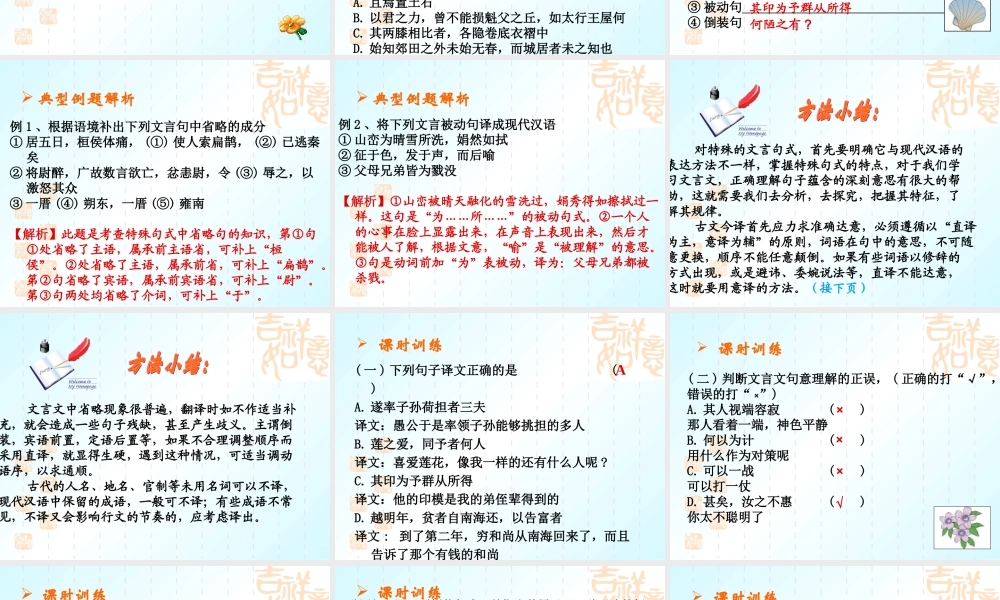 中考语文系列课件 文言文阅读四 课件