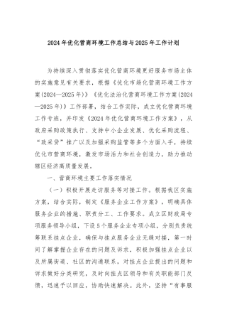 2024年优化营商环境工作总结与2025年工作计划