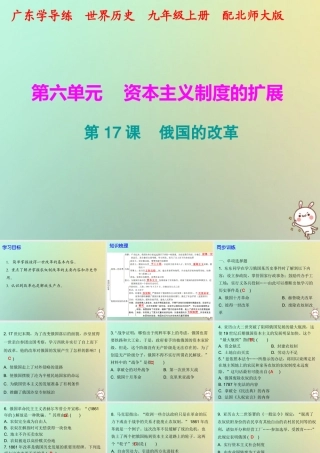 九年级历史上册 第17课 俄国的改革课件 北师大版 课件