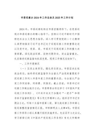 市委巡察办2024年工作总结及2025年工作计划