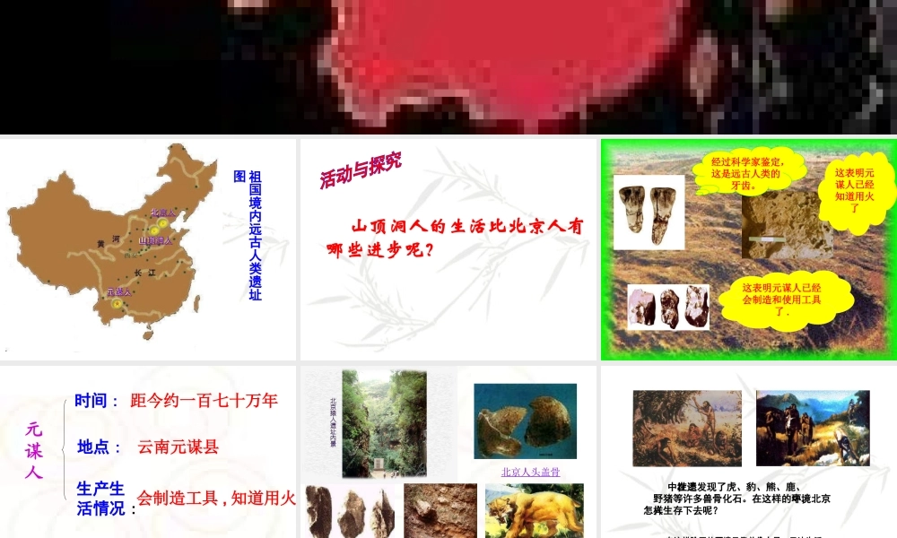 七年级历史上册 第1课(祖国境内的远古居民)课件 新人教版 课件
