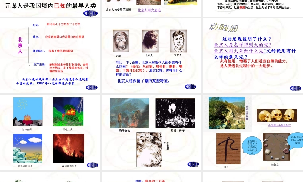 七年级历史上册 第1课(祖国境内的远古居民)课件 新人教版 课件