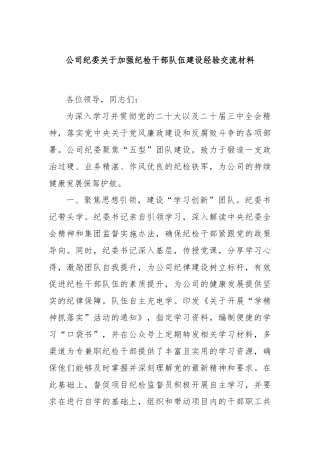公司纪委关于加强纪检干部队伍建设经验交流材料