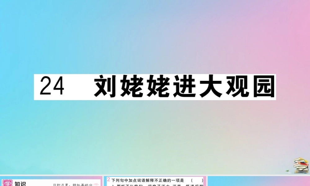 (贵州专版)九年级语文上册 第六单元 24 刘姥姥进大观园作业课件 新人教版 课件