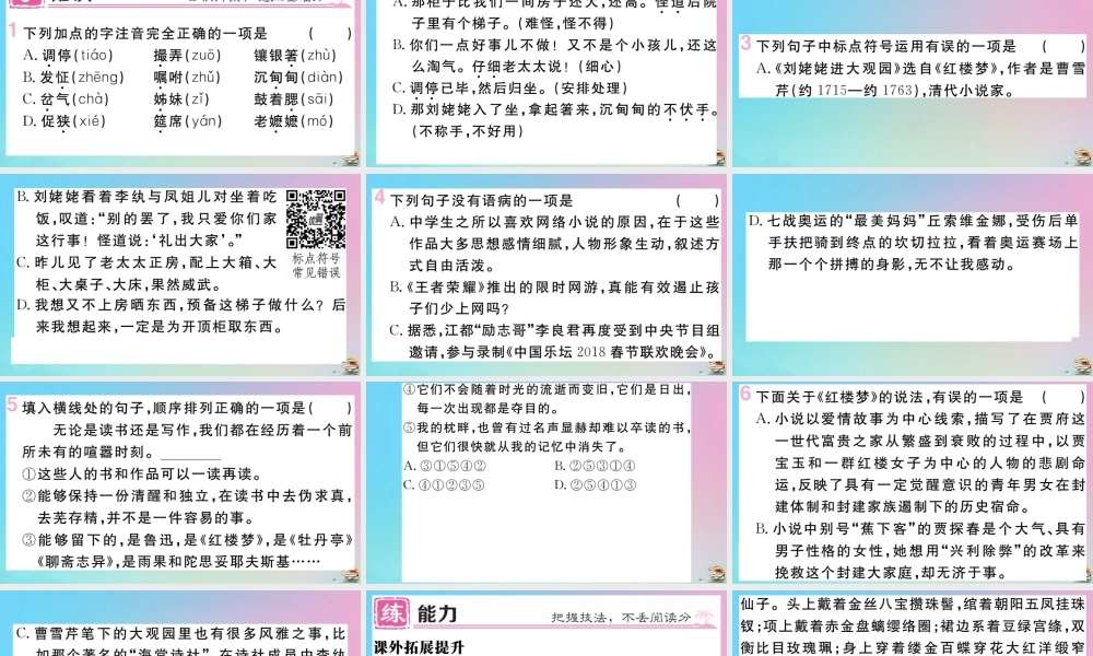 (贵州专版)九年级语文上册 第六单元 24 刘姥姥进大观园作业课件 新人教版 课件