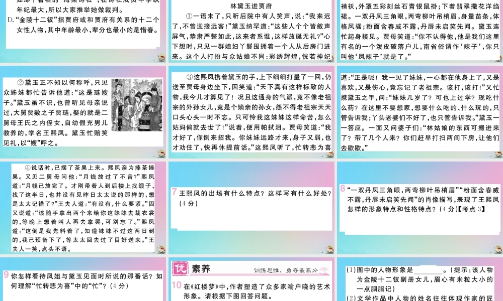 (贵州专版)九年级语文上册 第六单元 24 刘姥姥进大观园作业课件 新人教版 课件