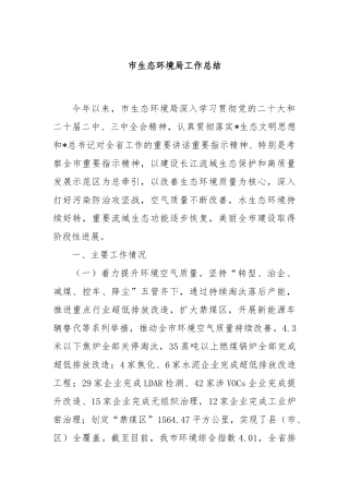 市生态环境局工作总结