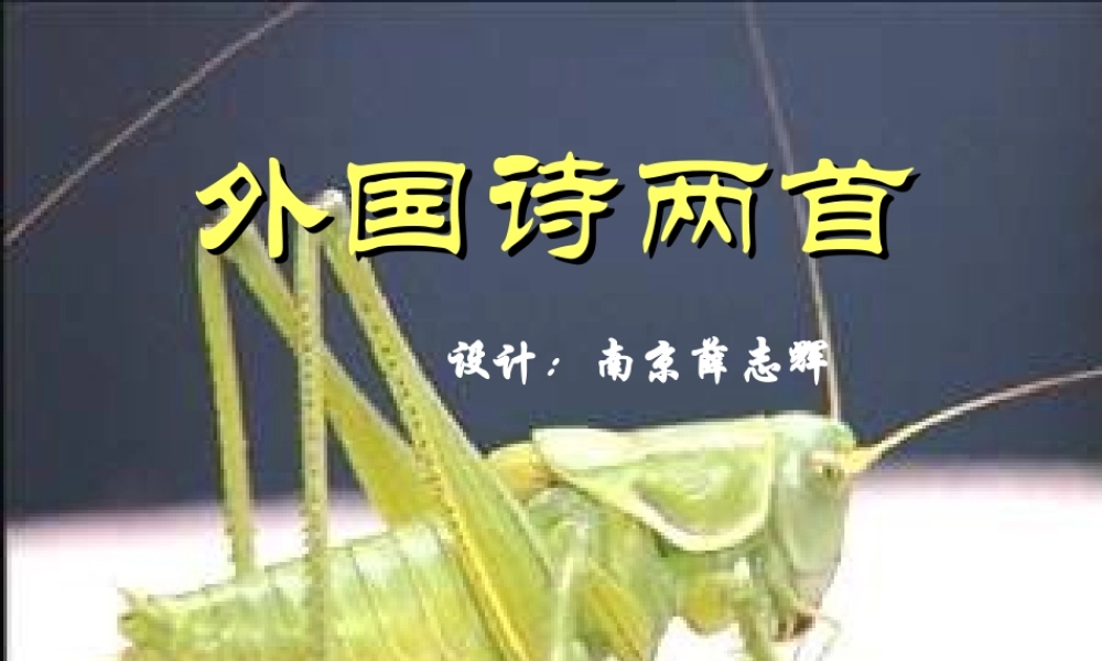 (外国诗两首)课件4 九年级语文上册第一单元(外国诗两首)课件6套人教版