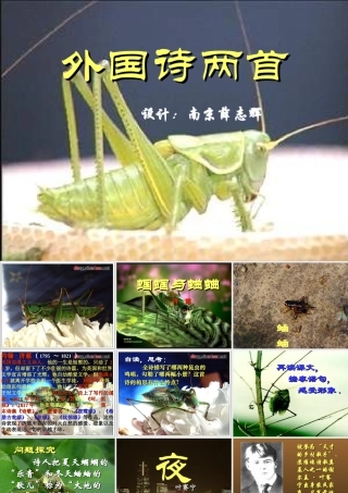 (外国诗两首)课件4 九年级语文上册第一单元(外国诗两首)课件6套人教版