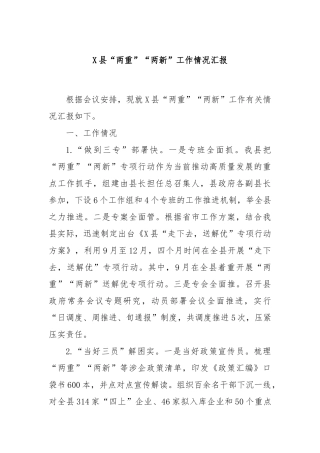 X县“两重”“两新”工作情况汇报