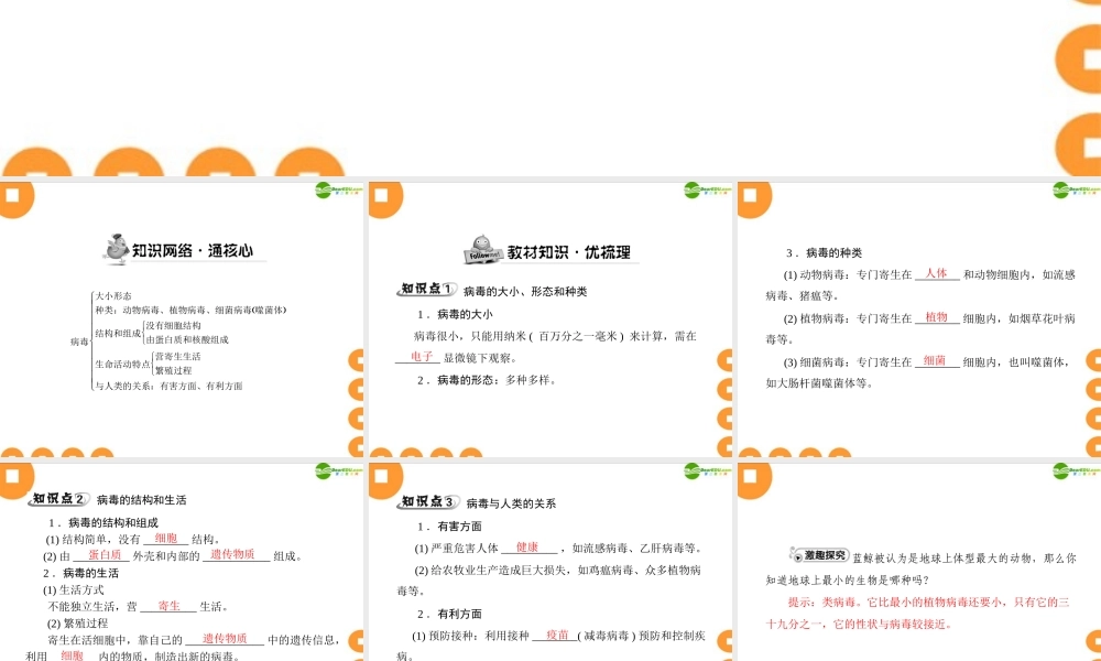 (随堂优化训练)七年级生物上册 第二单元 第四章 没有细胞结构的微小生物——病毒配套课件 人教新课标版 课件