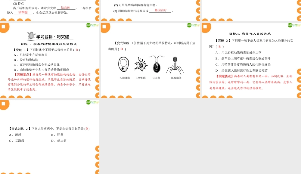 (随堂优化训练)七年级生物上册 第二单元 第四章 没有细胞结构的微小生物——病毒配套课件 人教新课标版 课件