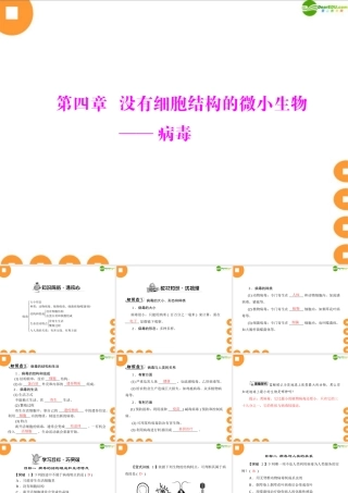 (随堂优化训练)七年级生物上册 第二单元 第四章 没有细胞结构的微小生物——病毒配套课件 人教新课标版 课件