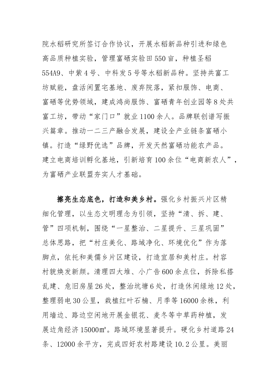 在2024年全县乡村振兴片区建设工作推进会上的汇报发言_第2页