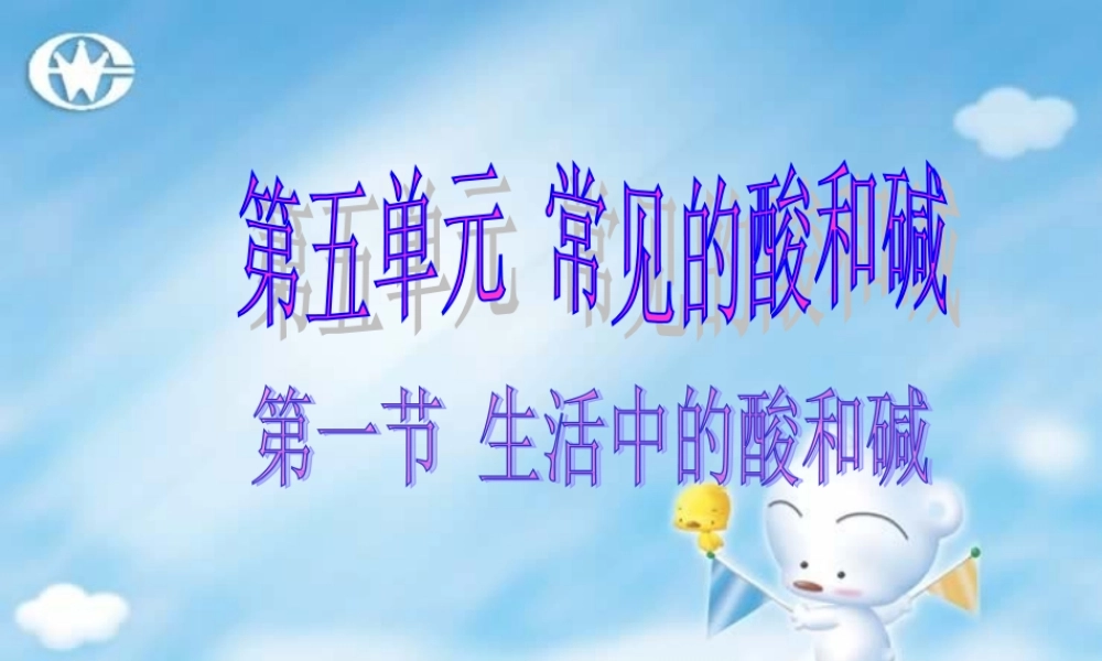 九年级化学生活中的酸和碱 课件