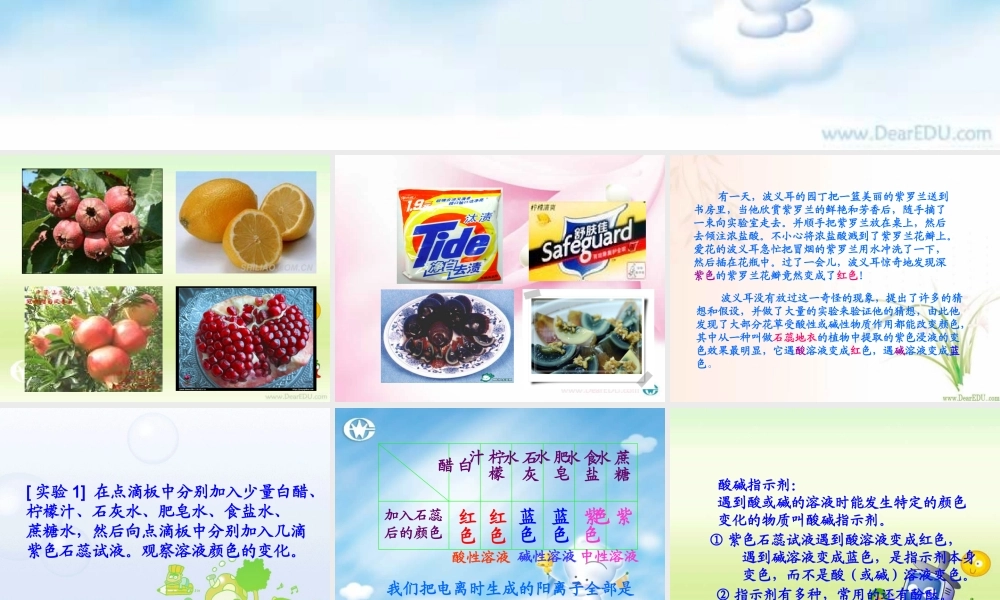 九年级化学生活中的酸和碱 课件