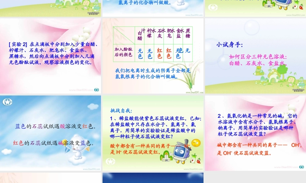 九年级化学生活中的酸和碱 课件