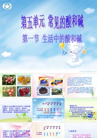 九年级化学生活中的酸和碱 课件