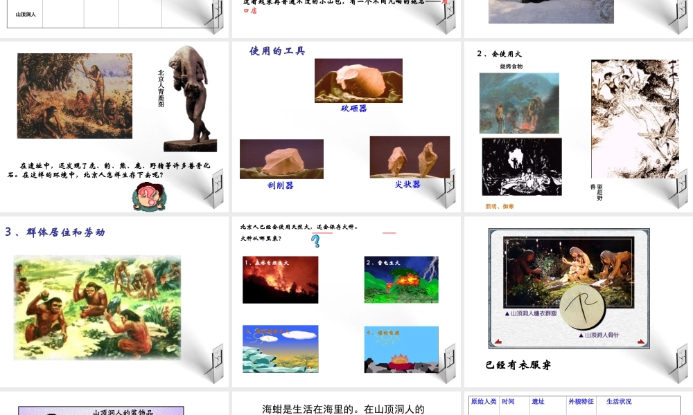 七年级历史上册 第一课周口店告诉我们的历史课件 北师大版 课件